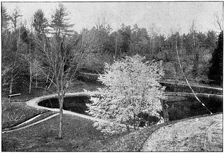 Upper Pond, Forest Park